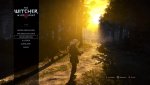 witcher3_2016_01_26_21_22_48_974.jpg