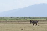 DSC_5392.jpg