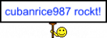 cubanrice987.png