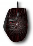 maribor.jpg