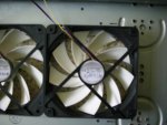 DSCI0038.jpg