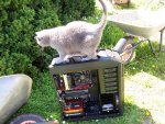100_1116.jpg