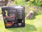 100_1109.jpg