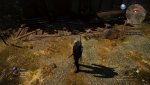 witcher3_2016_02_08_16_26_38_357.jpg