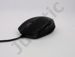 Maus front angle.jpg