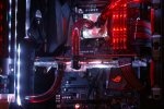 DSC03006.jpg
