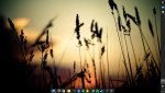 desktop.jpg