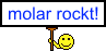 molar.png