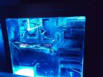 20160212_174437.jpg