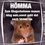 Klugscheisser.jpg