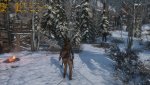 rottr_2016_02_10_14_3x3jhz.jpg