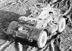staghound_01.jpg
