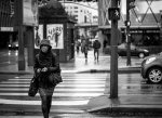 comp_img_5584_13185hupn.jpg