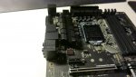 24804629kv.jpg