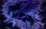 pegasus-25102-2560x1600.jpg