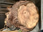 Photo-2016-03-13-12-59-13_2874.jpg