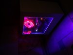 PC-N (10).JPG