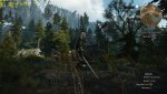 witcher3_2016_03_15_22_06_38_655a.jpg