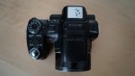 DSC01262.jpg