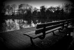 DSC05552.jpg