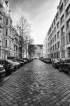 DSC_0499-Bearbeitet.jpg