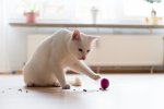 2016-03-30_D4S_3193.jpg