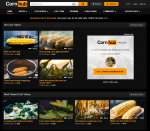CornHub.PNG