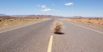 1-tumbleweed.jpg