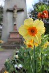 IMG_2223.jpg