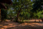 IMG_1053-Bearbeitet-3.jpg