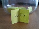 20160411_195221.jpg