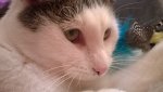 WP_20160415_18_04_43_Pro.jpg