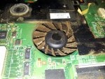IMG_20160417_000842.jpg