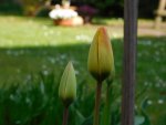 DSCN4012.JPG