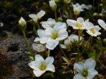 DSCN4049.JPG