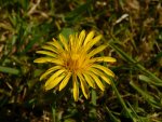 DSCN4188.JPG