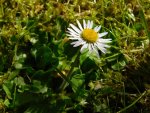 DSCN4252.JPG