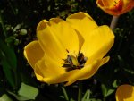 DSCN4271.JPG
