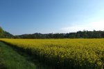 DSCF7579.JPG