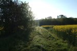 DSCF7435.JPG