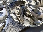image1.jpeg