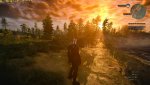 witcher3_2016_05_12_20_39_19_858.jpg