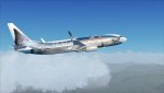 FSX1.jpg