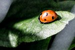 IMG_0427.jpg