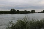 IMG_2299.jpg
