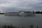 IMG_2308.JPG