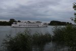 IMG_2310.JPG