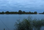 IMG_2317.JPG