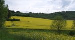 DSCF0559.jpg