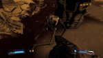arrow.jpg